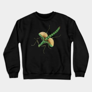 Platycrana viridana, a very green stick insect (green is "viridis" in Latin). Crewneck Sweatshirt